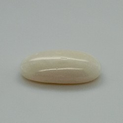 White Coral (Safed Moonga)  7.23 Ct Good Quality